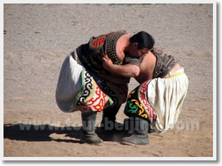 Performances of Mongolian style wrestling